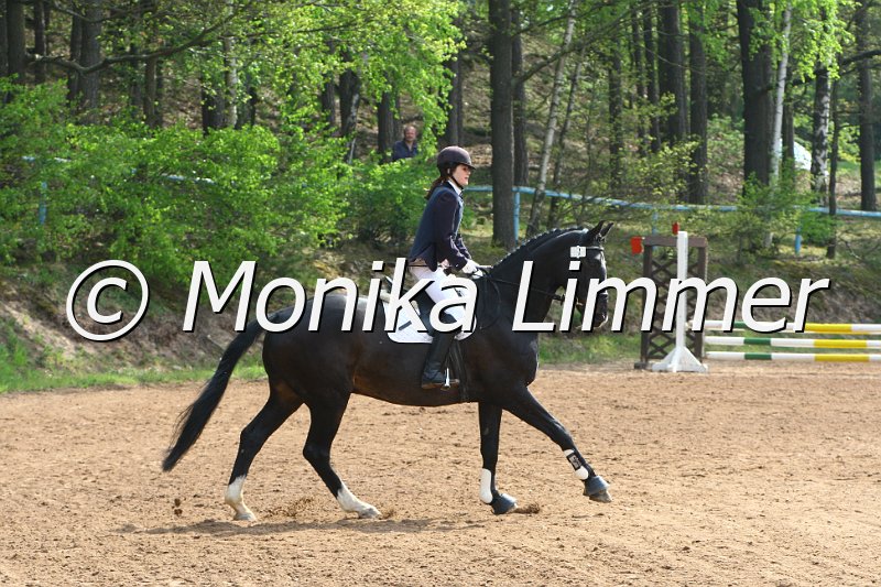 005L3580_Abraxas_Springreiter WB.JPG